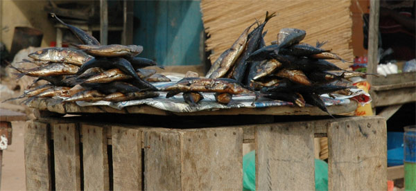 Visverkoop op de markt van Atimpoku 