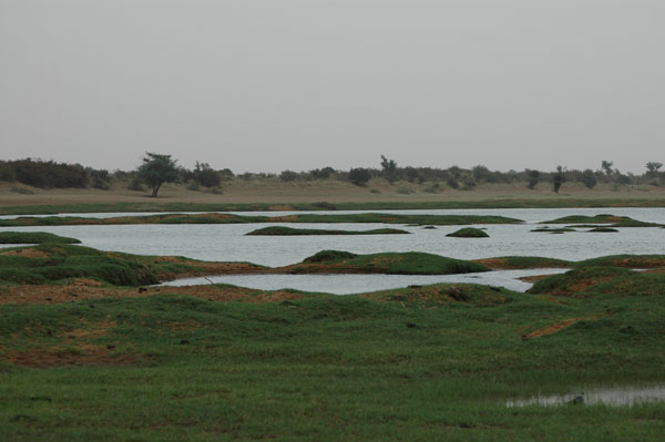 Uitzicht over de rivier bij Djenné