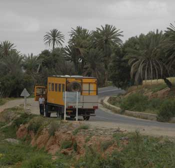 Groen Marokko tussen Tiznit en Tafraoute.